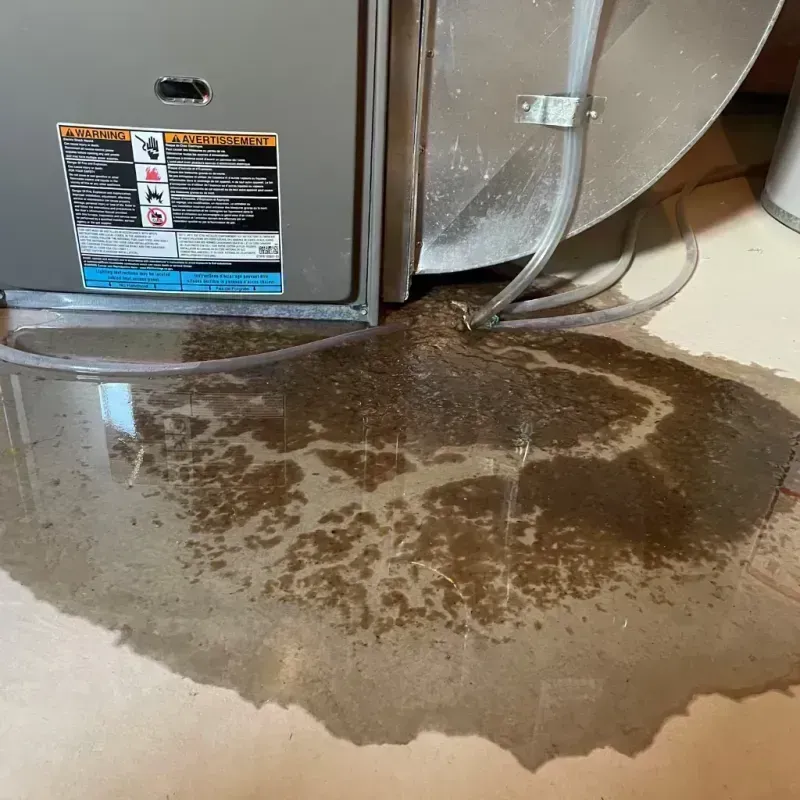 Appliance Leak Cleanup in Fairfield, IL